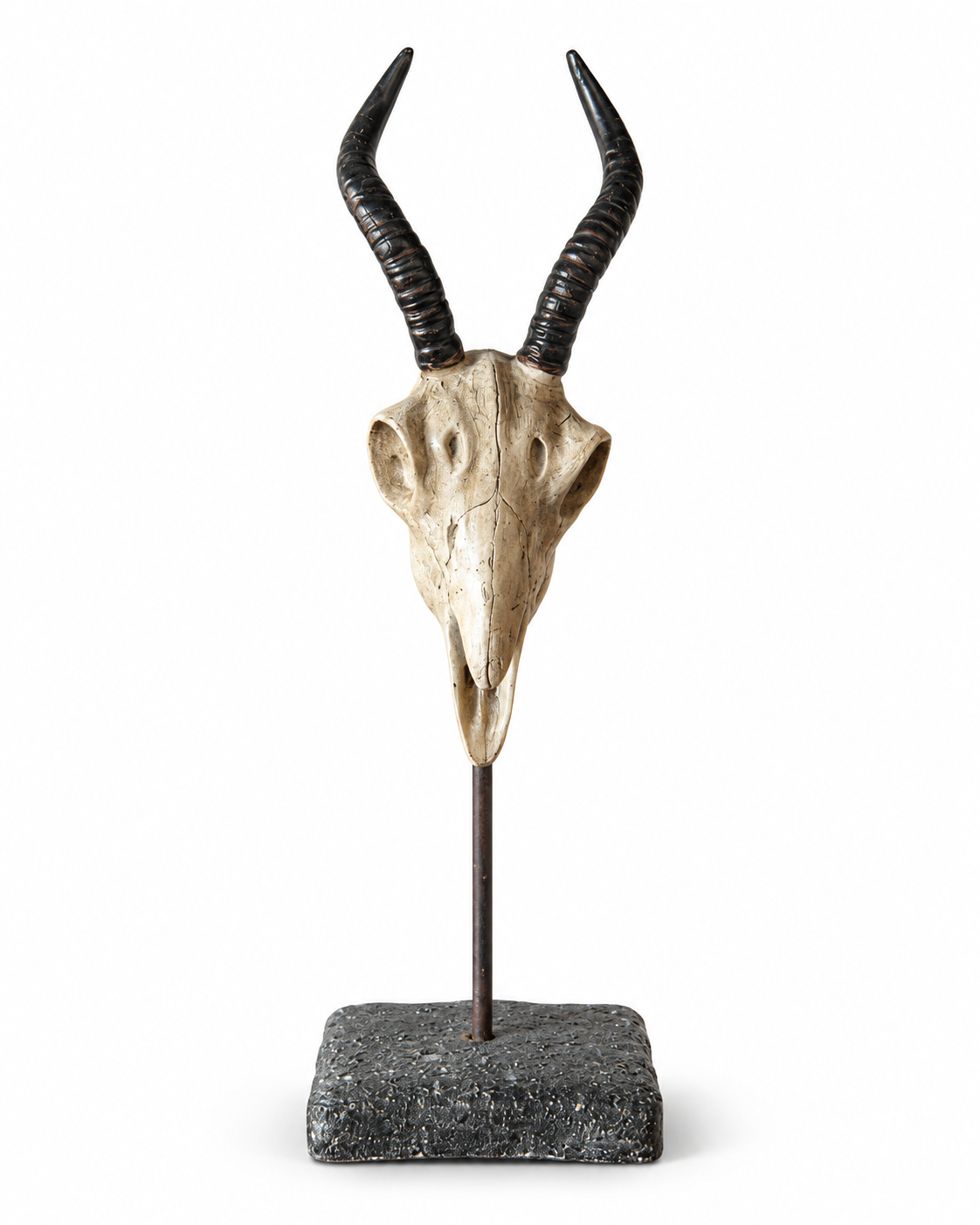 Gazelle Skull Sculpture on Metal Museum Stand